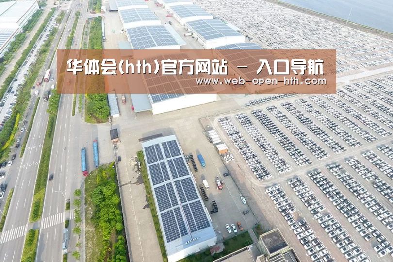 案例展示二
