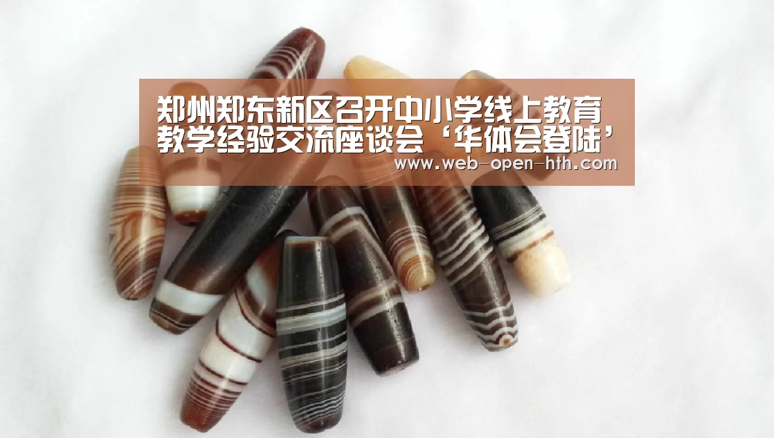 郑州郑东新区召开中小学线上教育教学经验交
